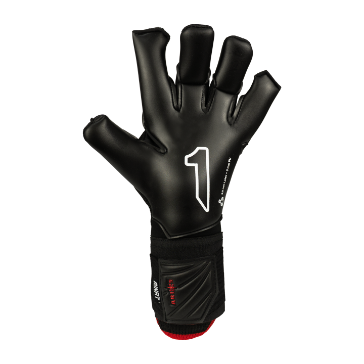 ARIES X PRO RINAT AD