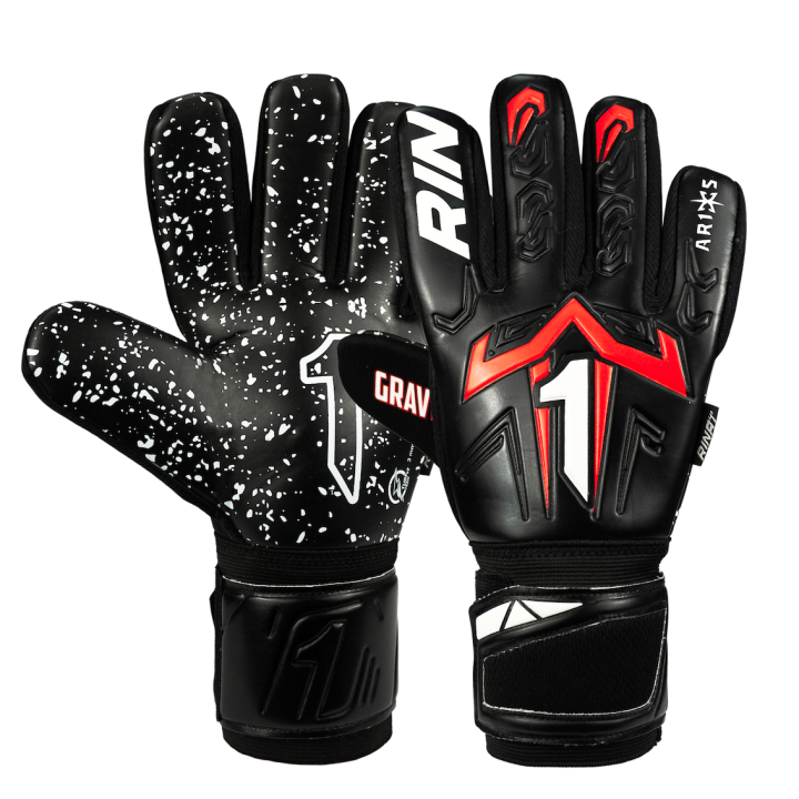 ARIES X GRAVITY RINAT AD